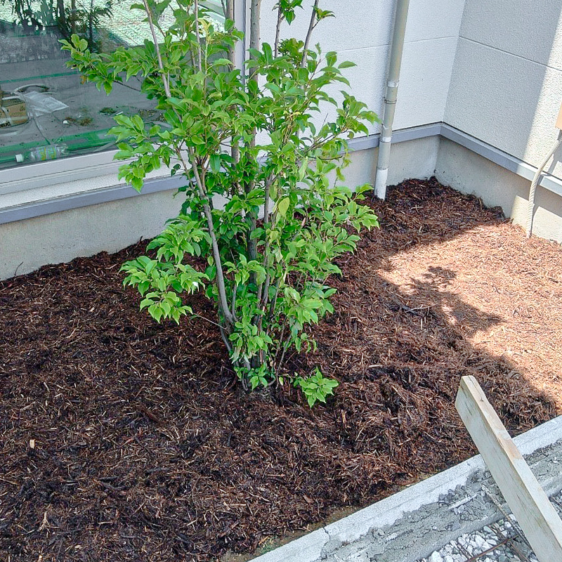 庭・エクステリア工事